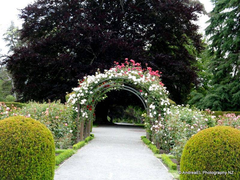 Christchurch Botanic Gardens Botanical Gardens Christchurch Botanical