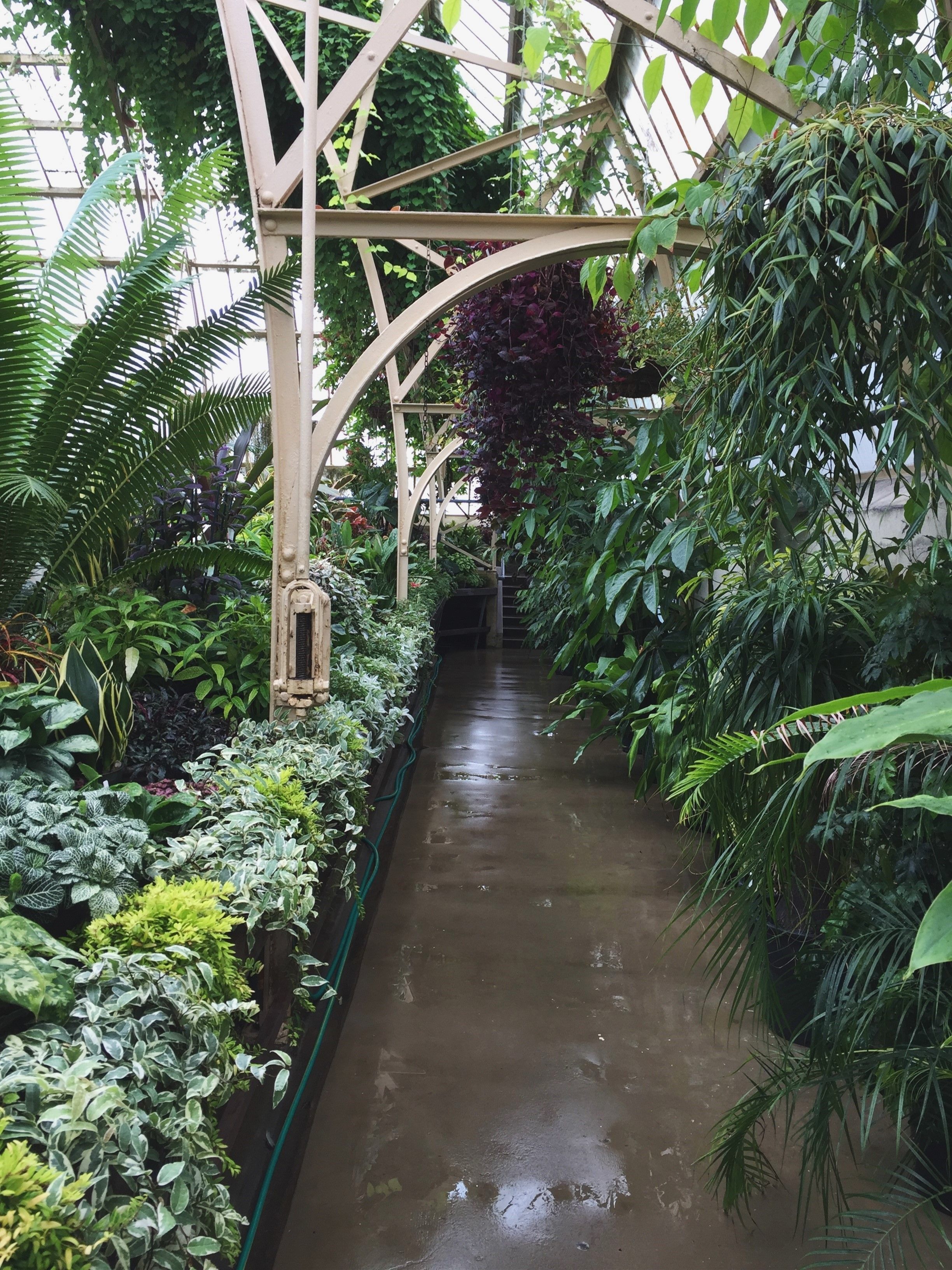 Christchurch Botanic Gardens Tours Historic Botanic Gardens