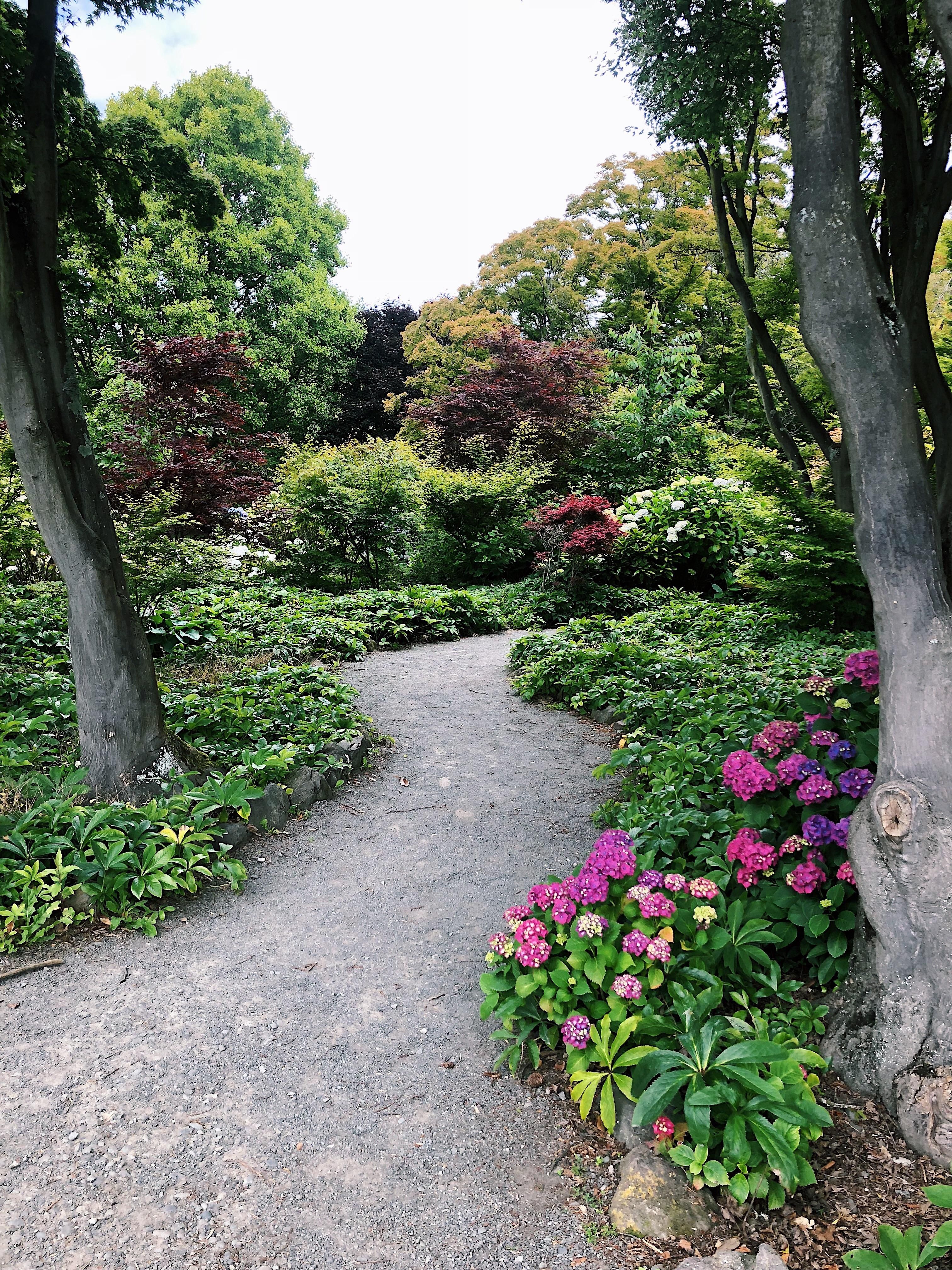 Amazing Christchurch Botanical Gardens