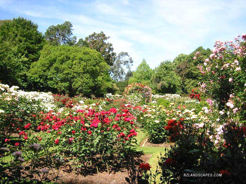 Curators House Botanical Gardens Christchurch