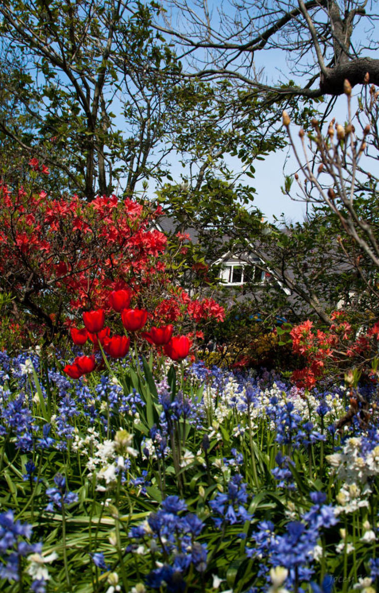 Curators House Botanical Gardens Christchurch