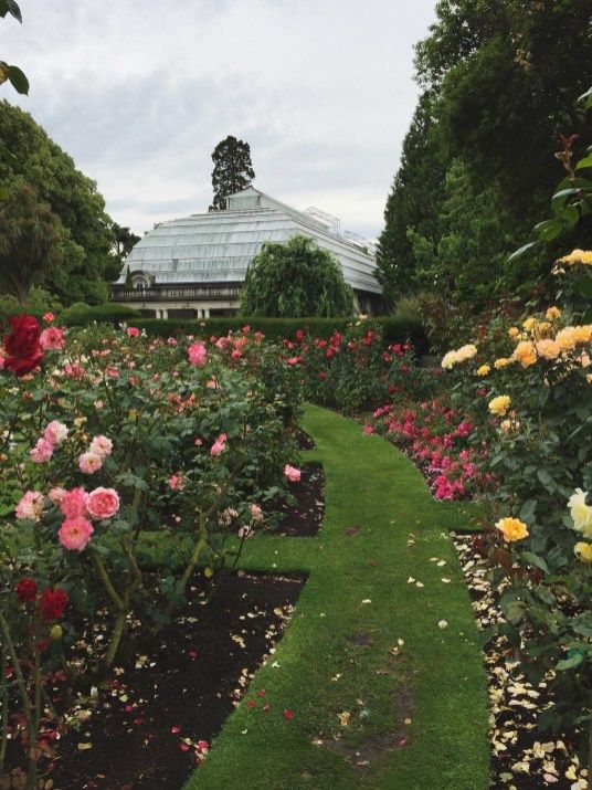 Christchurchs Botanic Gardens