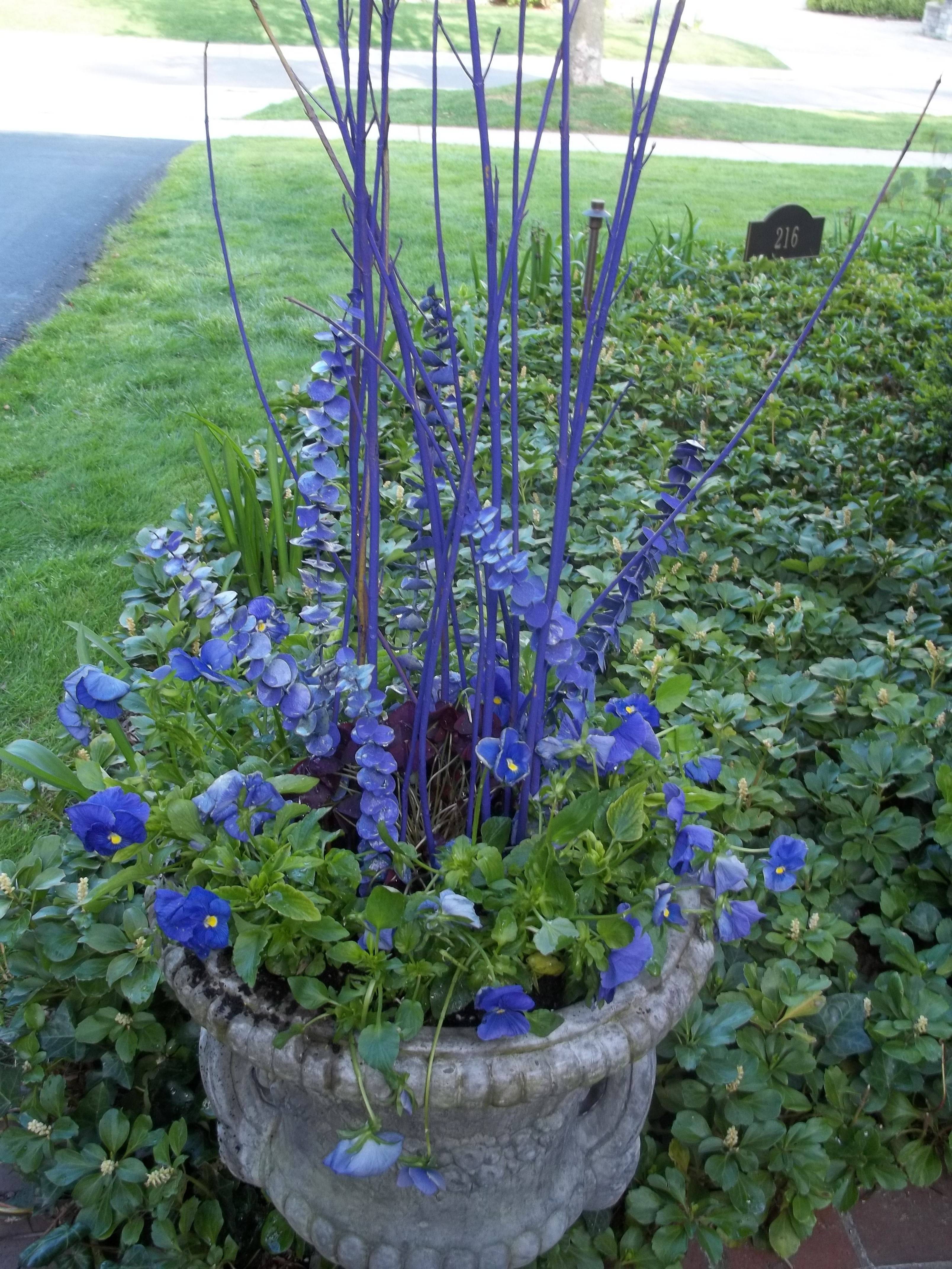 Hydrangea Garden Ideas
