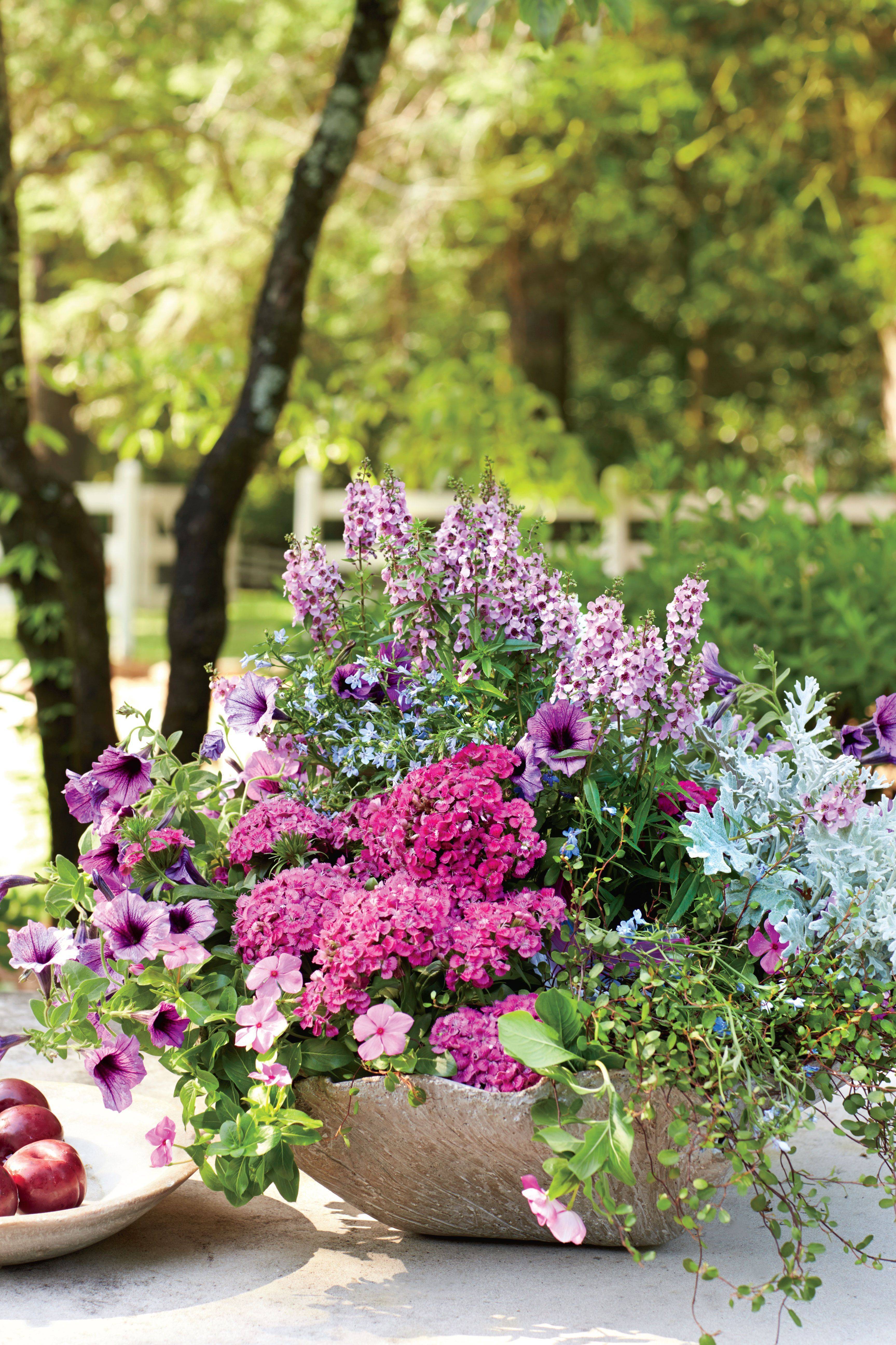 Colorful Garden Ideas