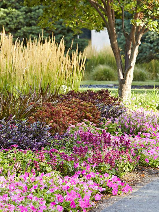 Gallery Lovely Yard Landscaping Designs Ideas Red Purple Yellow Flower