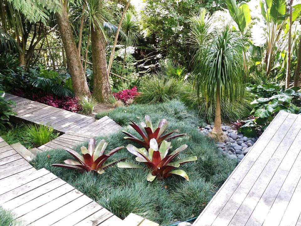 A Tropicalthemed Garden