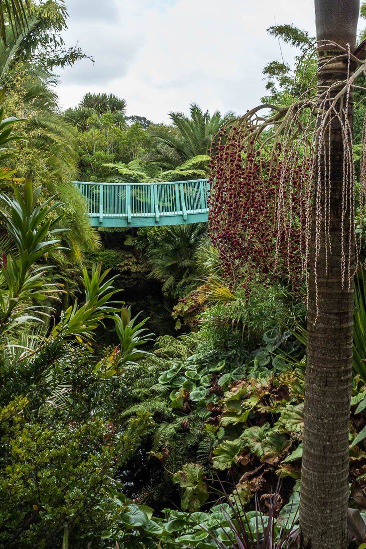 A Tropicalthemed Garden