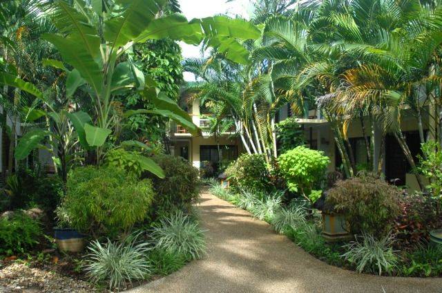 A Tropical Garden Palmers Garden Centre