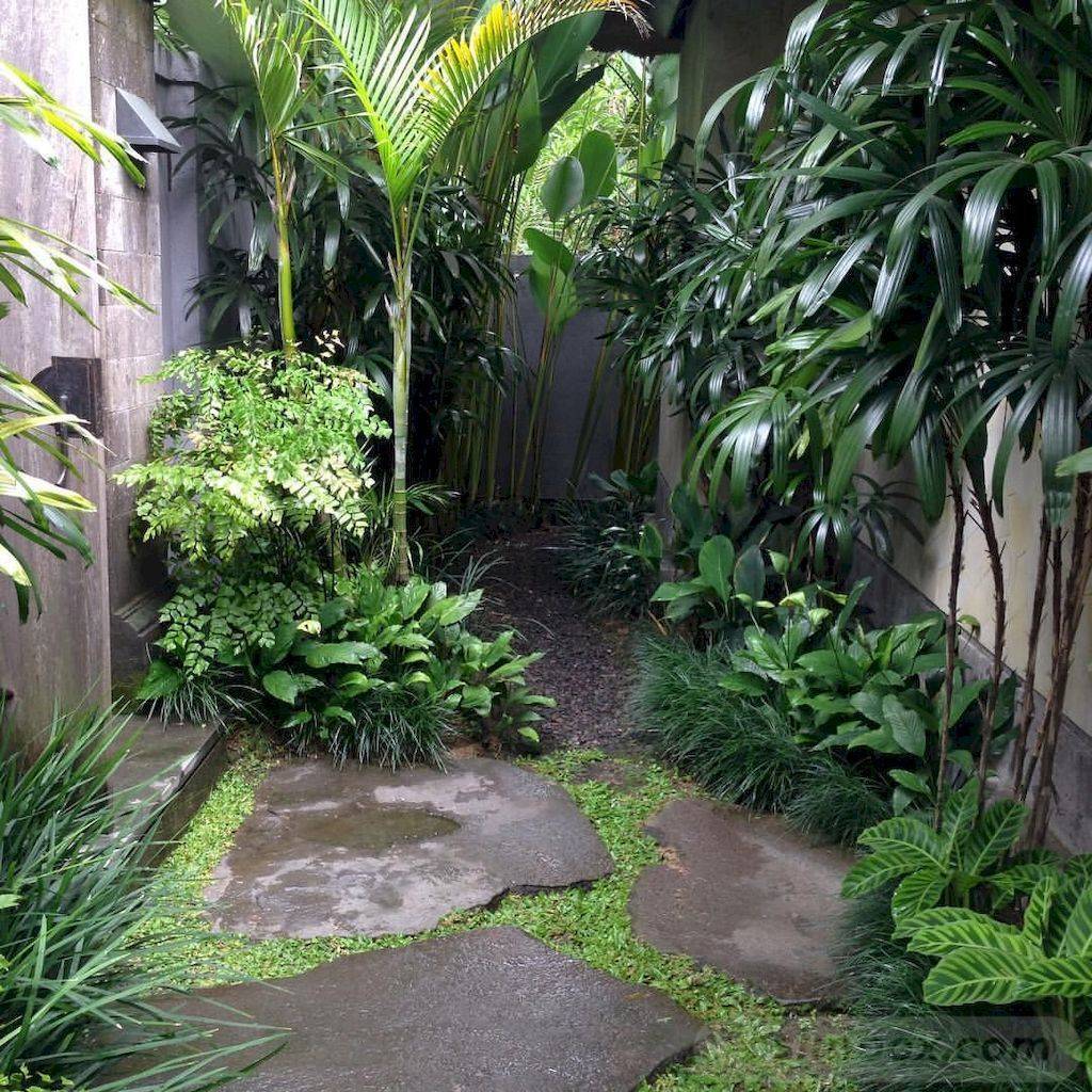 New Zealand Tropical Garden Ideas