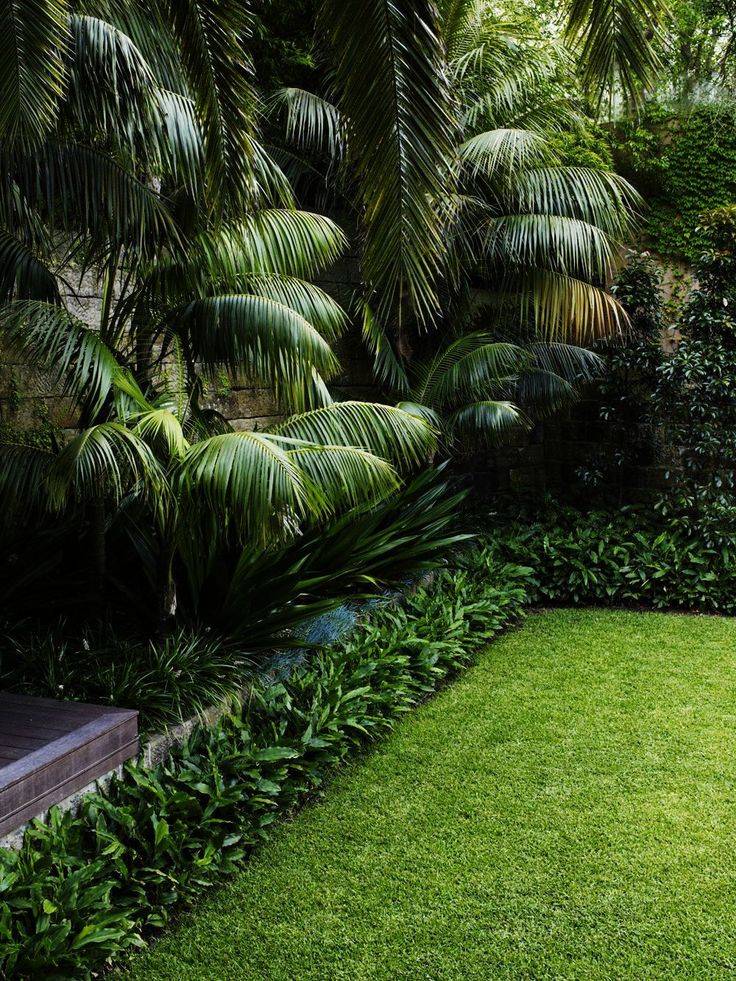 Subtropical Garden Landscape Design