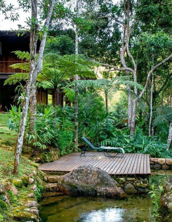The Tropical Garden Tropical Garden