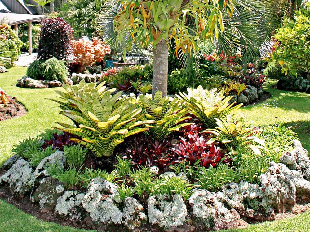 Tropical Garden Mt Eden New Zealand