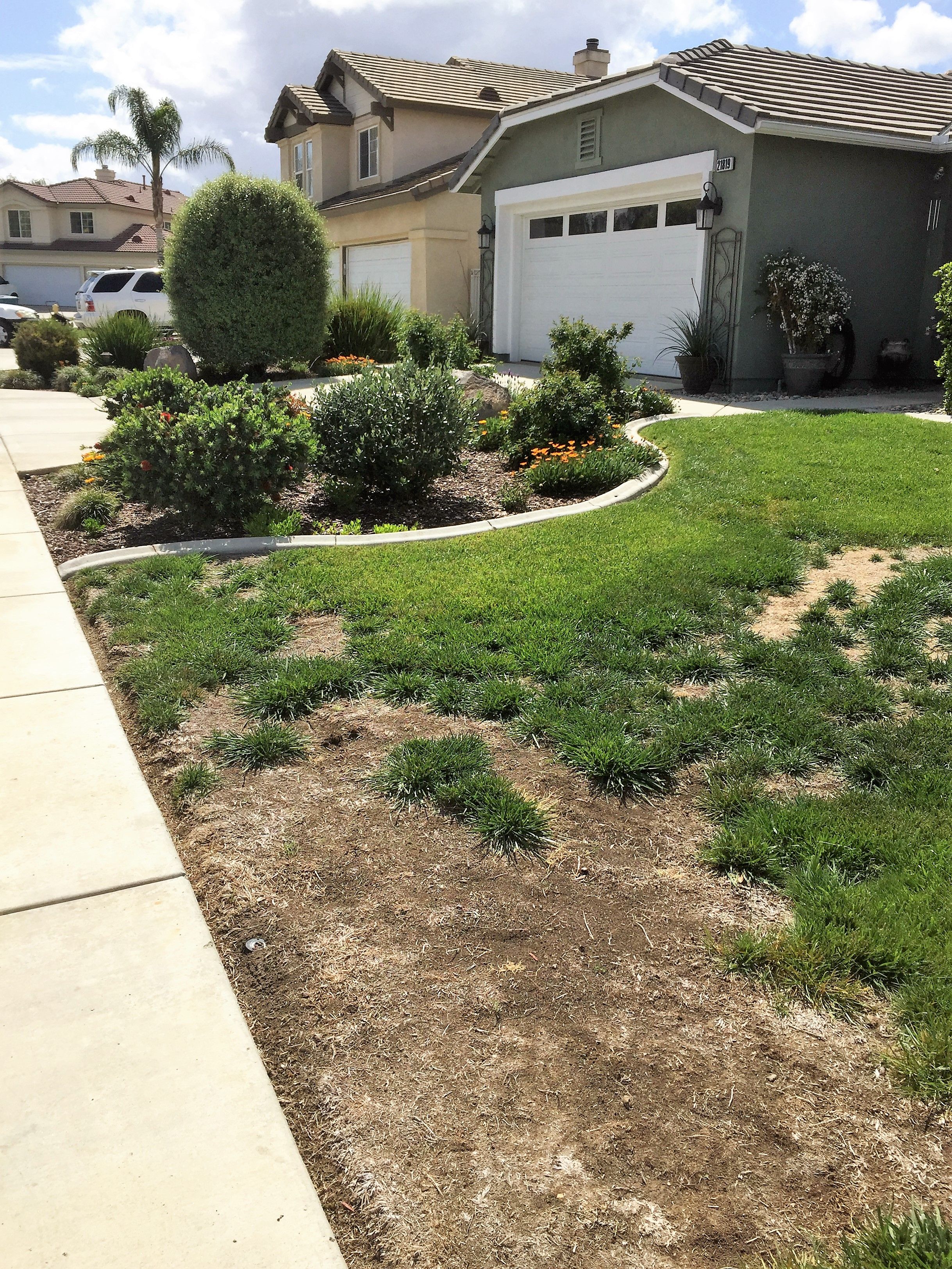 Traditional Landscape