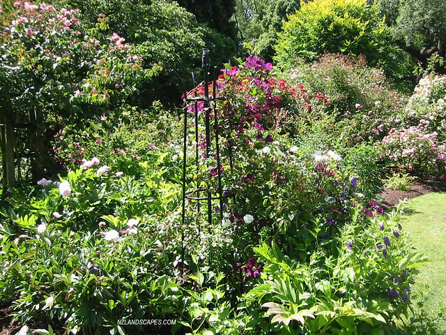 Rose Garden Design Tips Hgtv