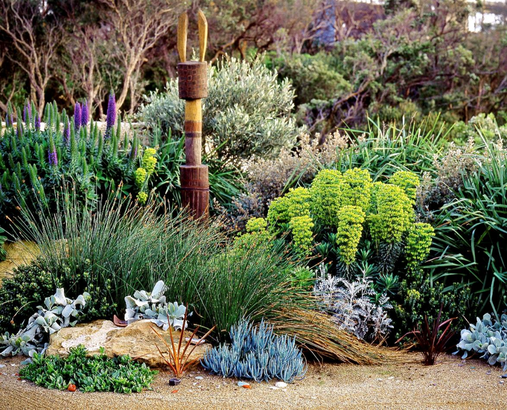 An Easycare Coastal Garden