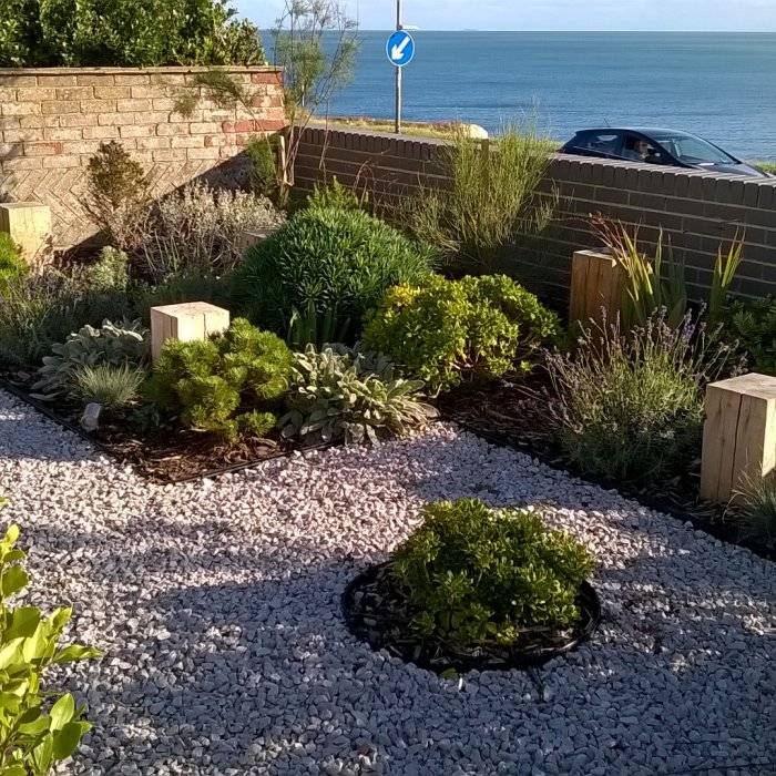 A Native Coastal Garden Australian Garden Design