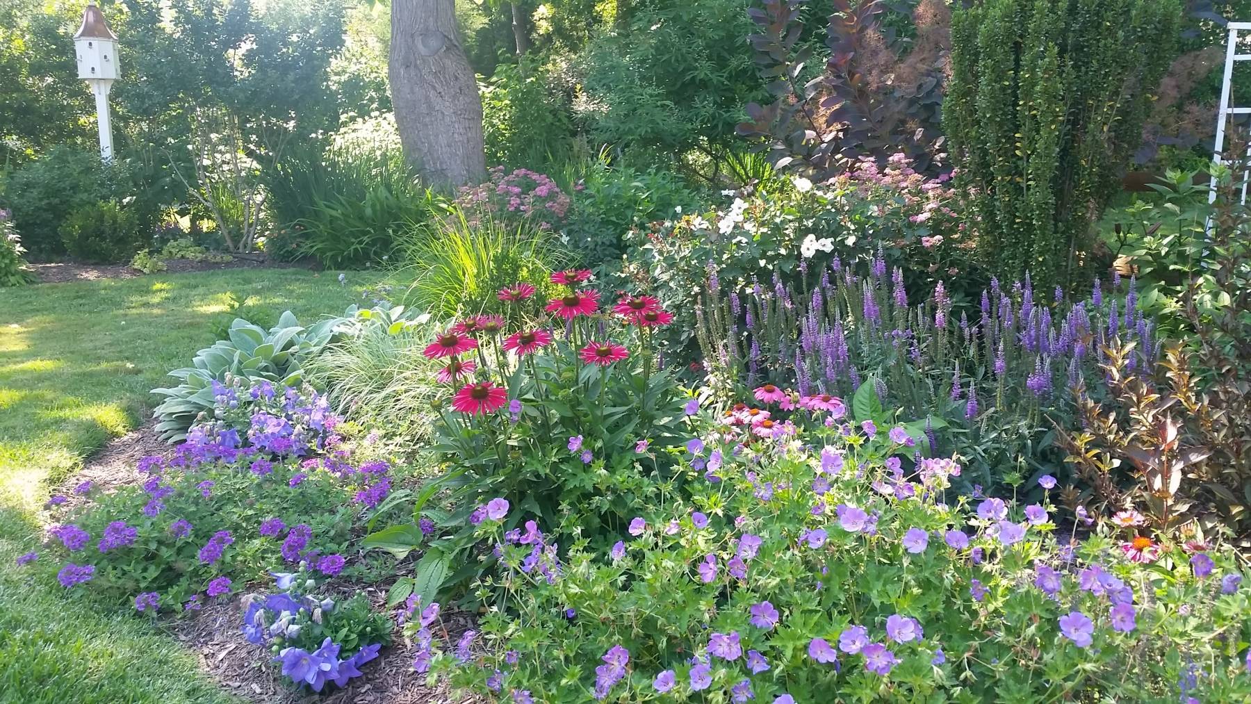 Large Coastal Garden Jo Gardens