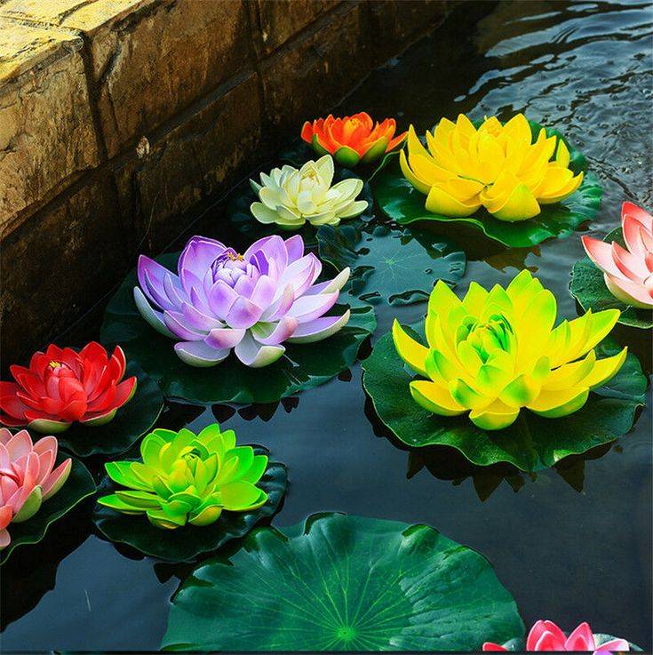 Beautiful Flower Box Ideas Pictures Floating Flowers