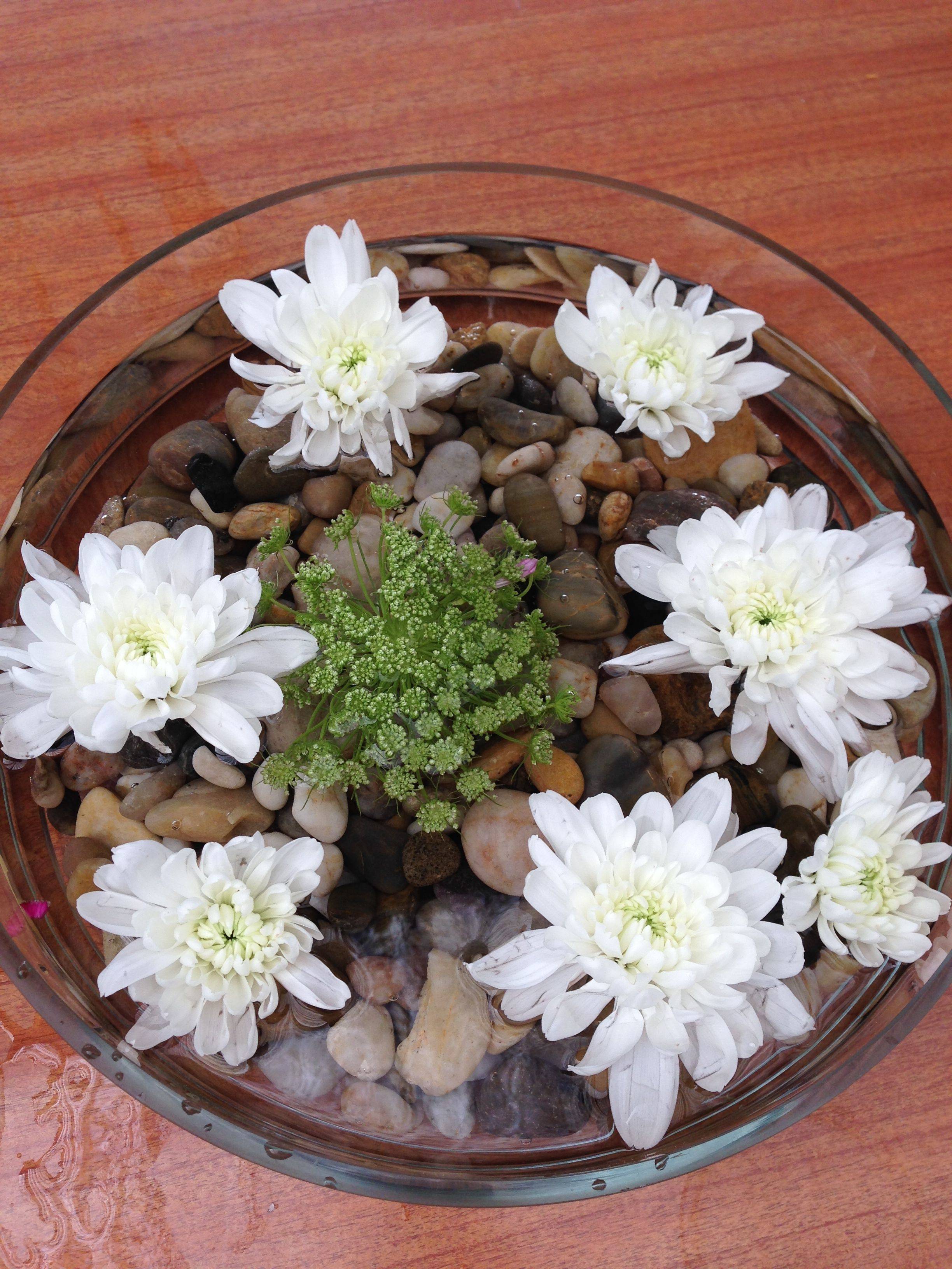 Floating Gardens