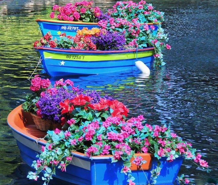 Le Pamphlet Floatingflowergarden