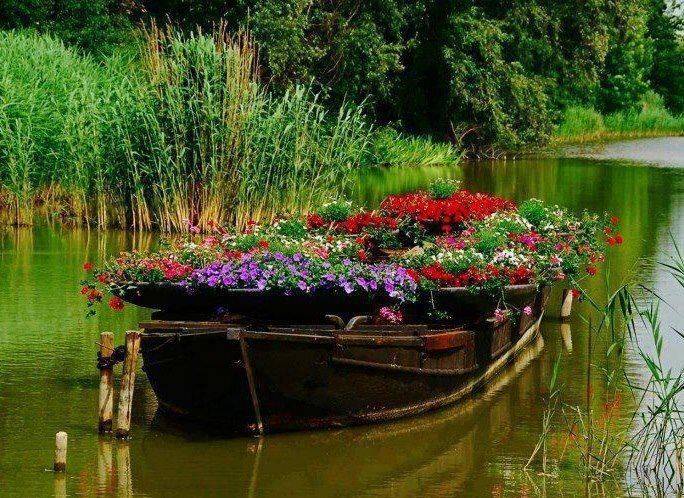 Le Pamphlet Floatingflowergarden