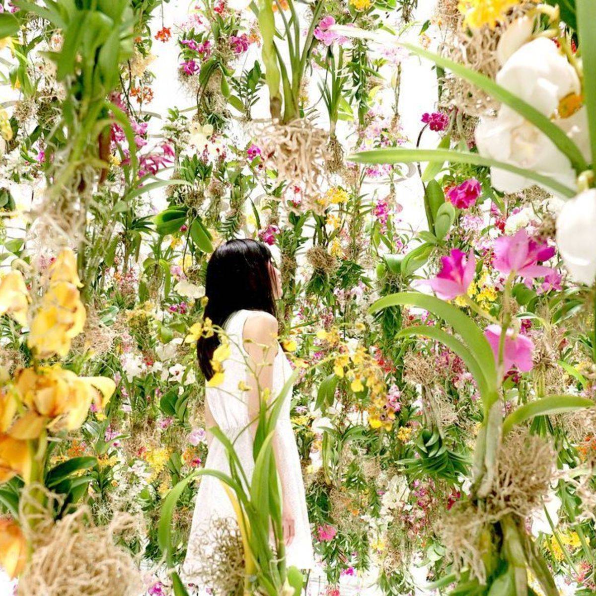 Patio Backyard Flower Fence Beautiful Vegetable Garden Housebined With