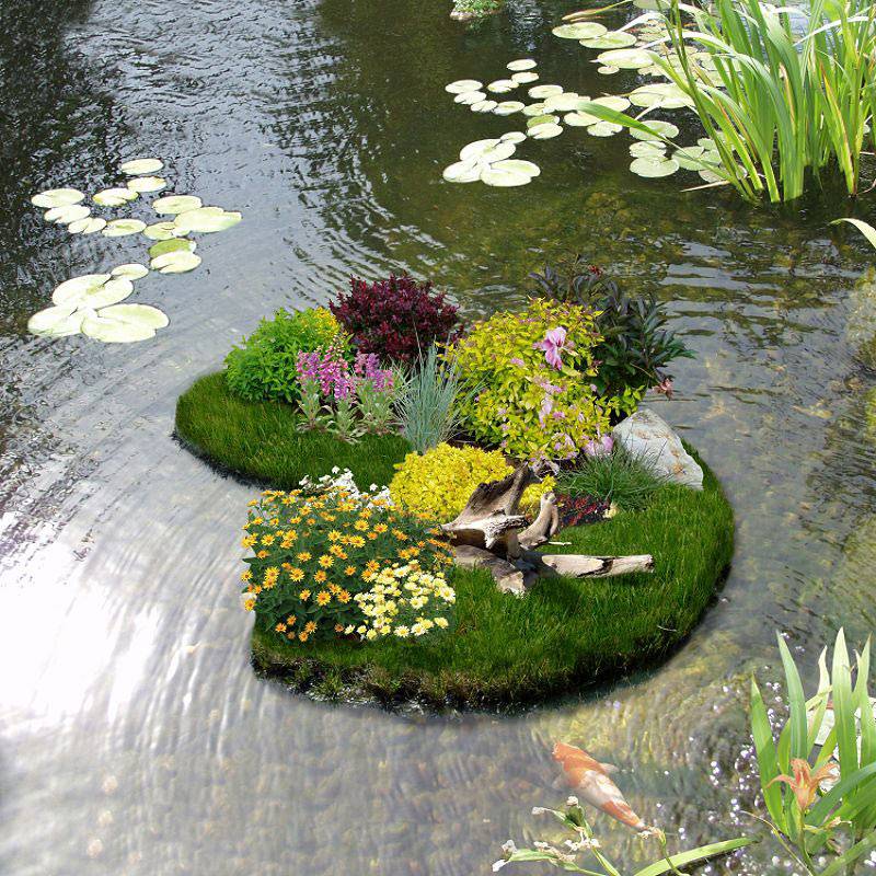 The Ellerslie International Flower