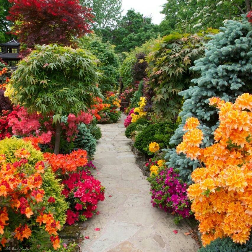 Japanese Garden Landscape