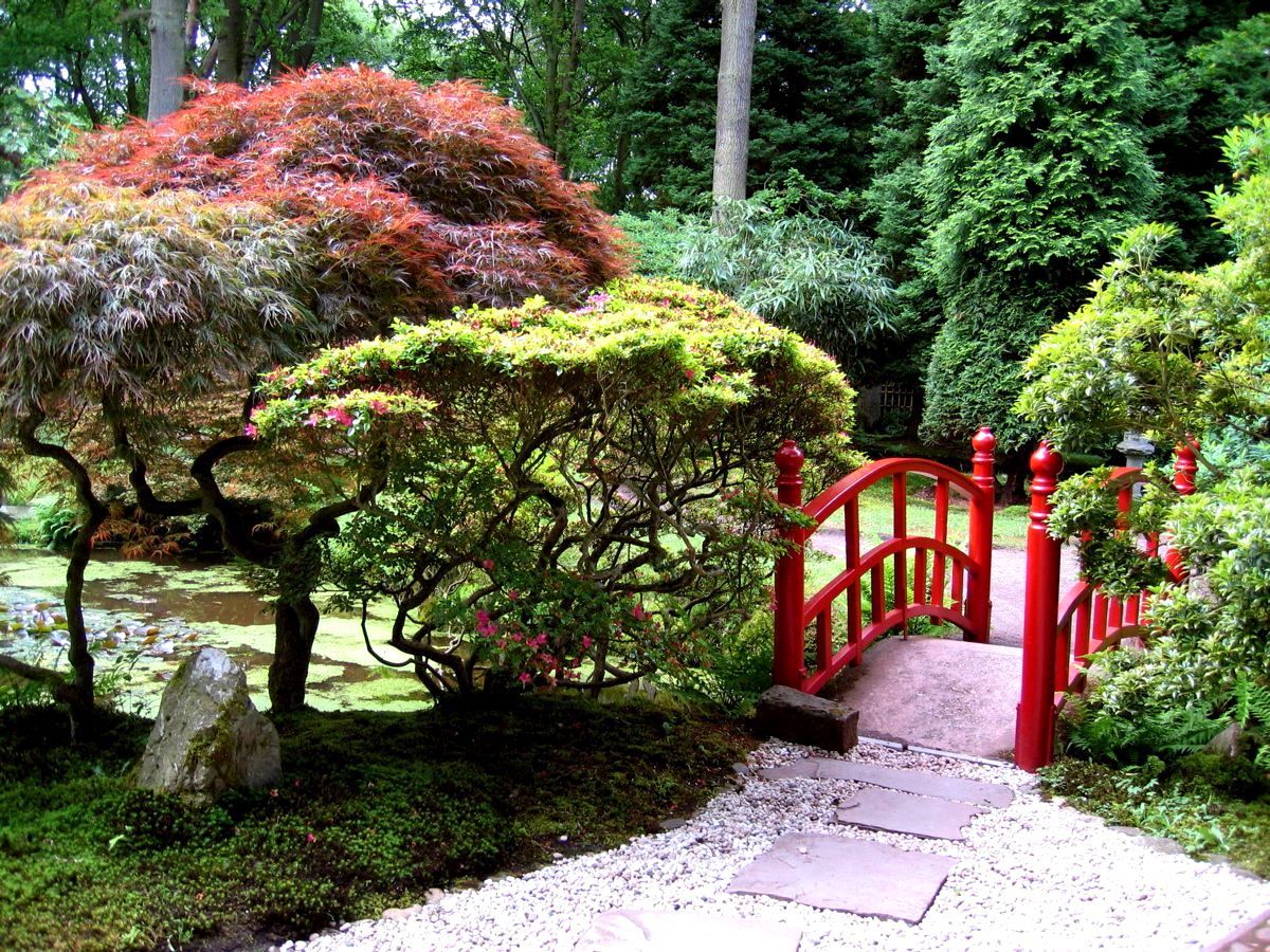 Japanese Flower Gardens Ideas