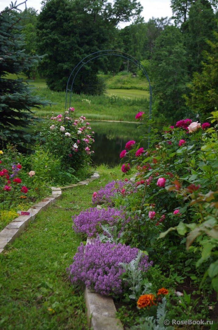 Luxurious Large Garden Ideas