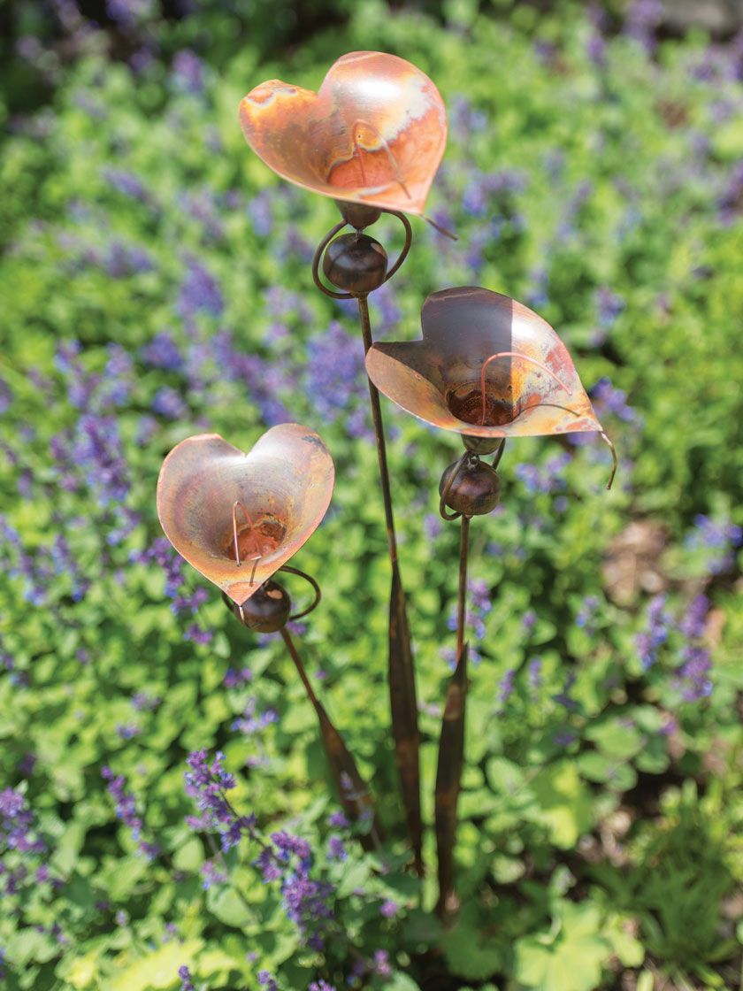 Star Shower Watering