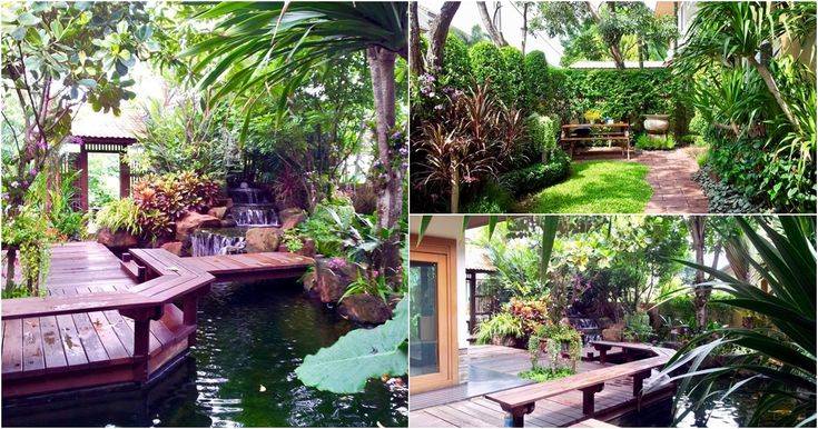 Aquatic Plants