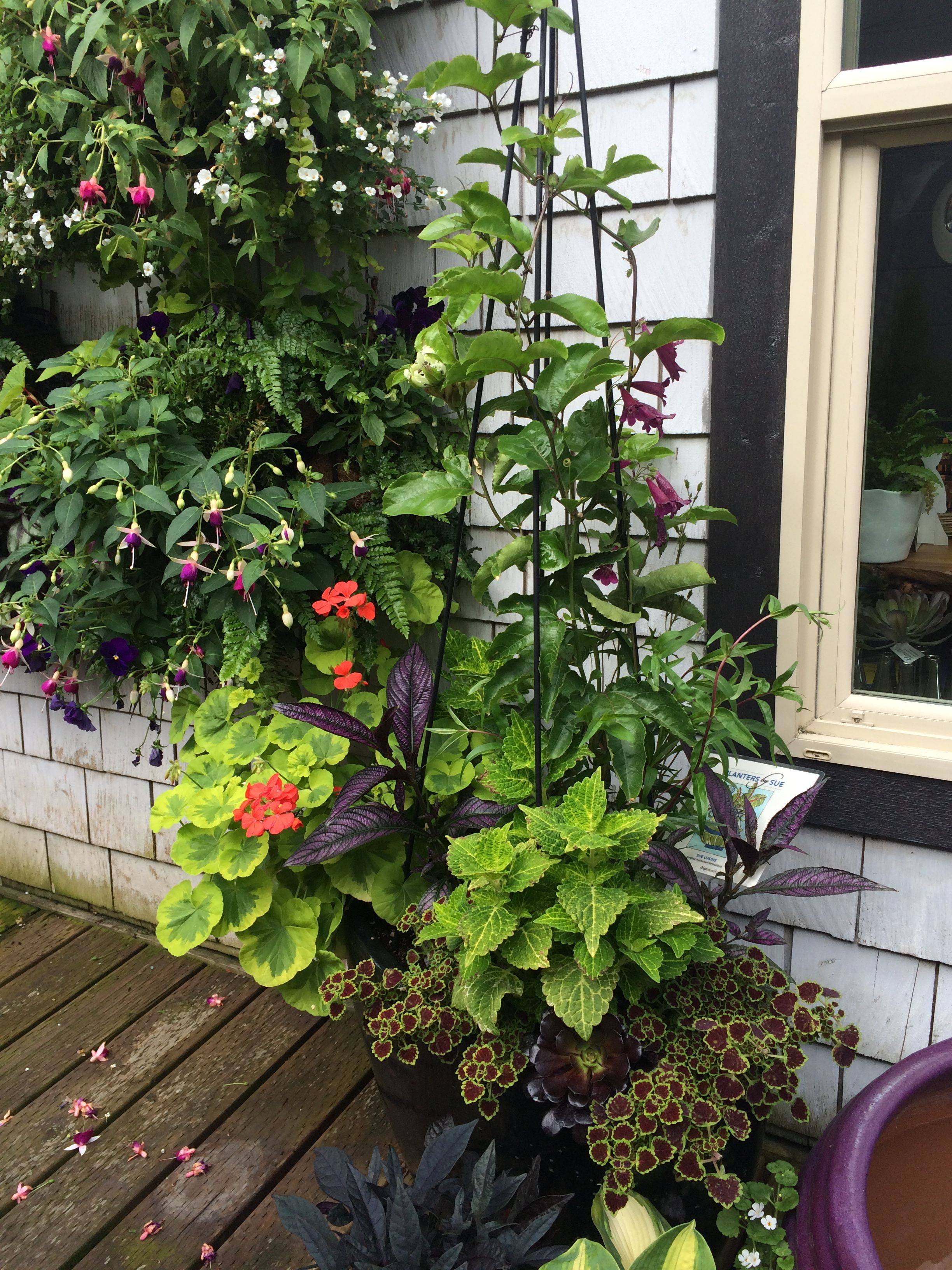 Container Gardening