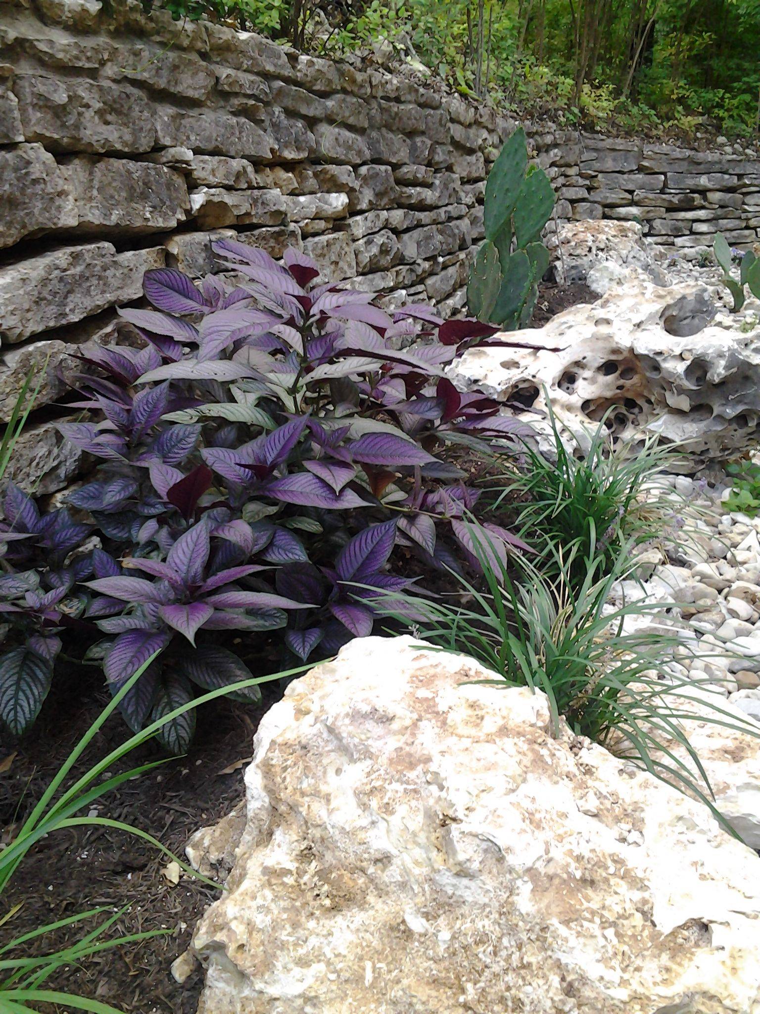 Partial Shade Planter