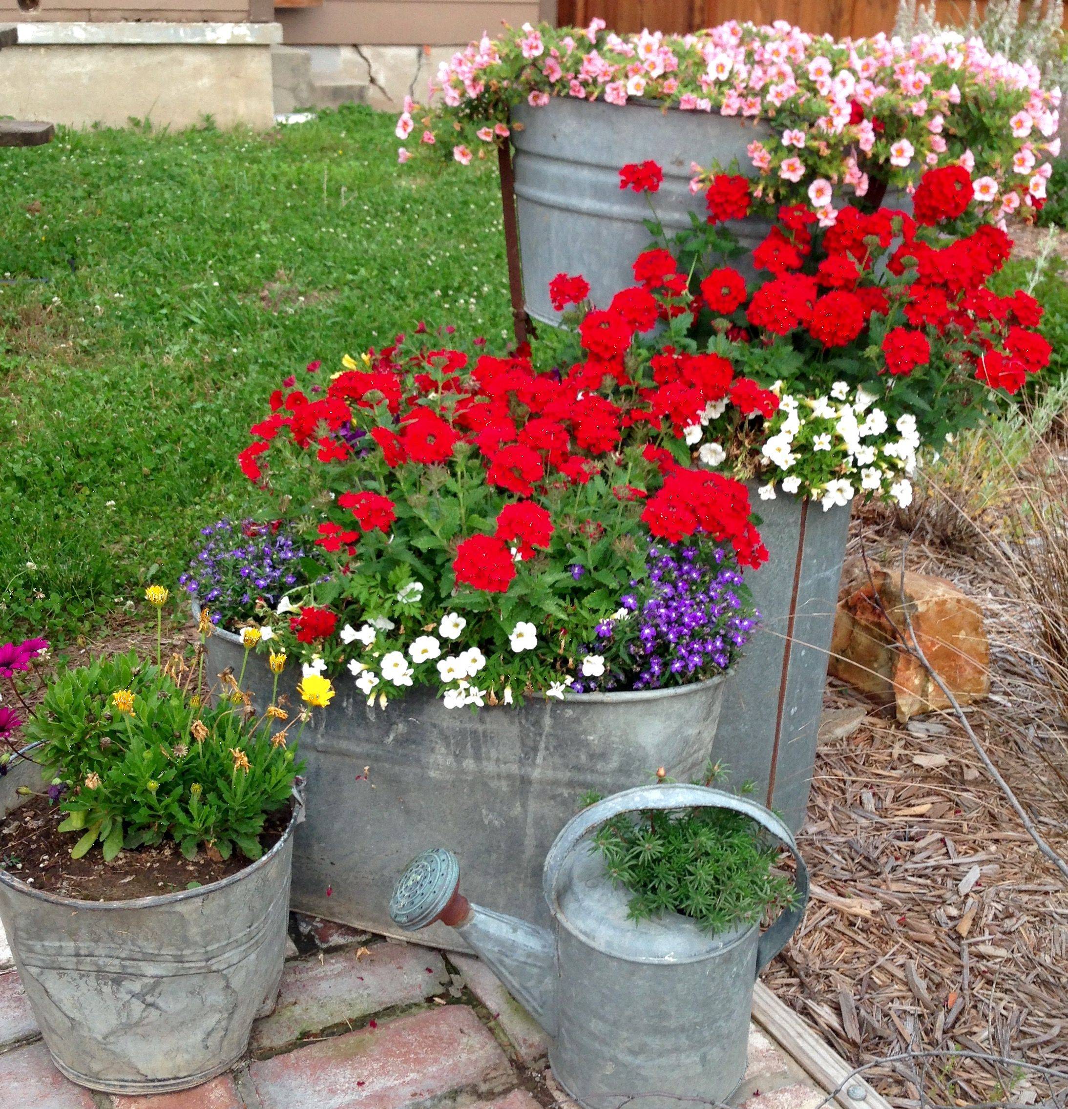 Container Gardening