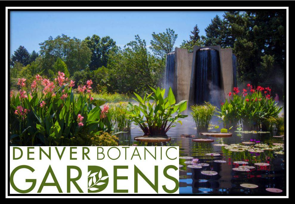 Denver Botanic Gardens Colorado Wildlife Plant Attraction In Denver Co