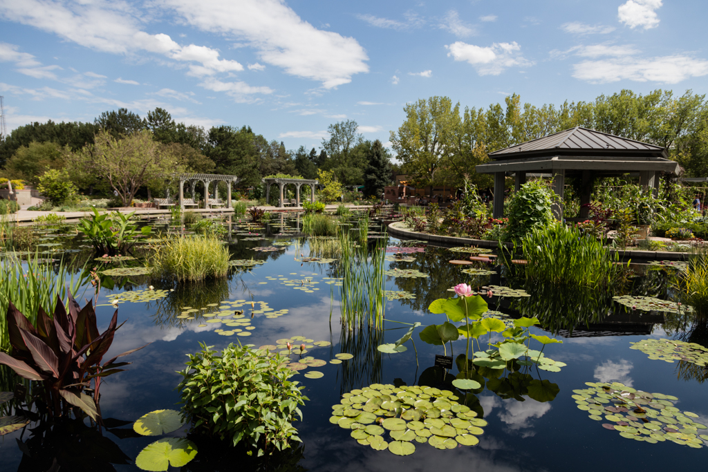 Denver Botanic Gardens Semifinalist Allison Armour Sphere Fountain