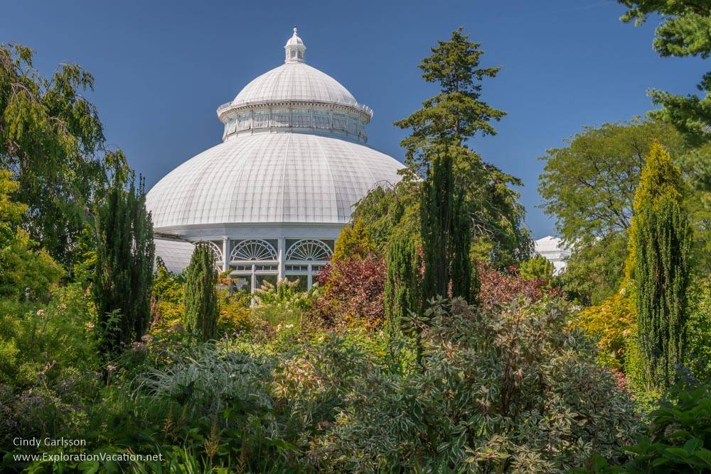 Usa Botanical Gardens