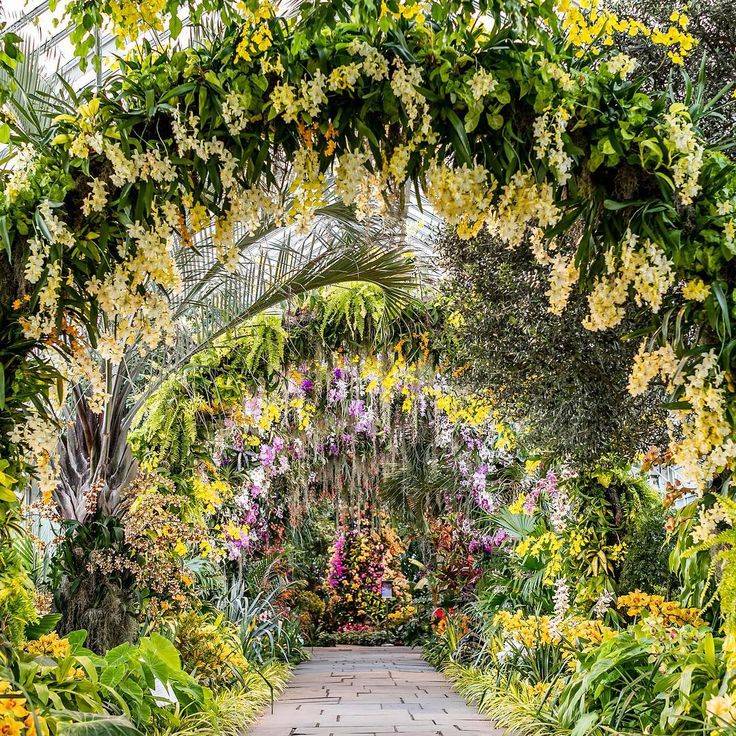 Conservatory New York Botanical Garden