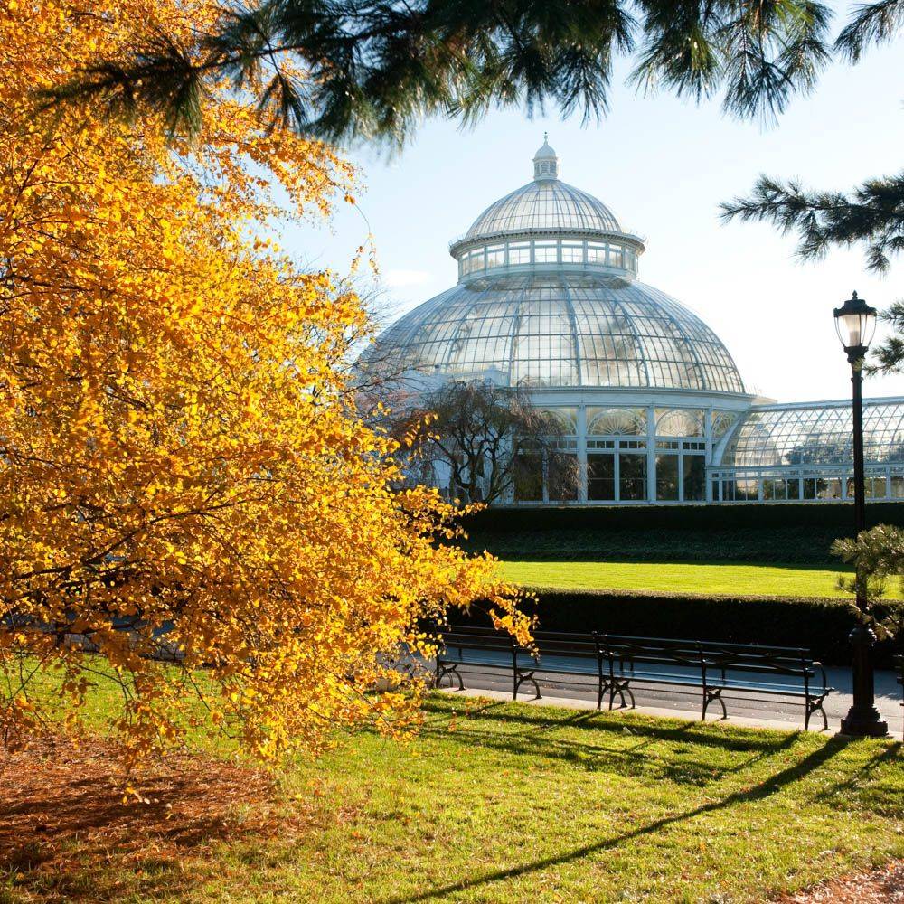 New Yorks Best Fall Events Brooklyn Botanical Garden