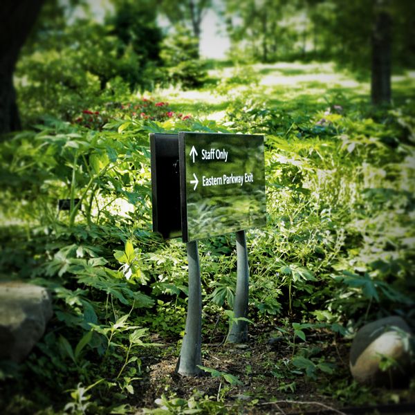 The New York Botanical Garden