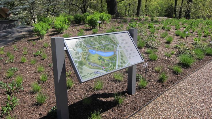 The New York Botanical Garden
