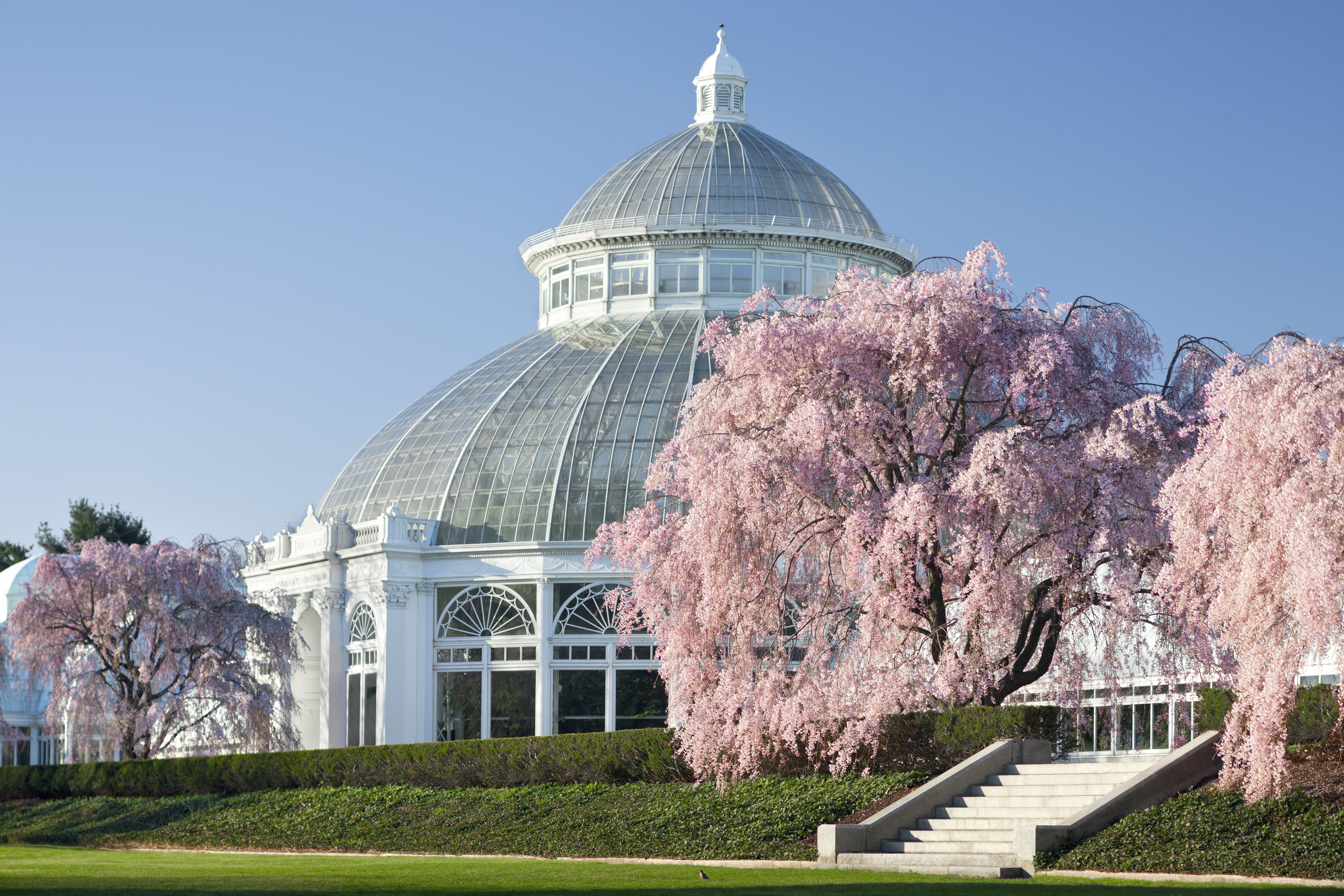 The Bronx Botanical Gardens