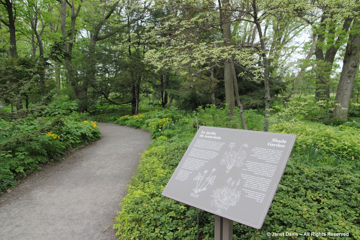 New York Botanical Garden Mapping