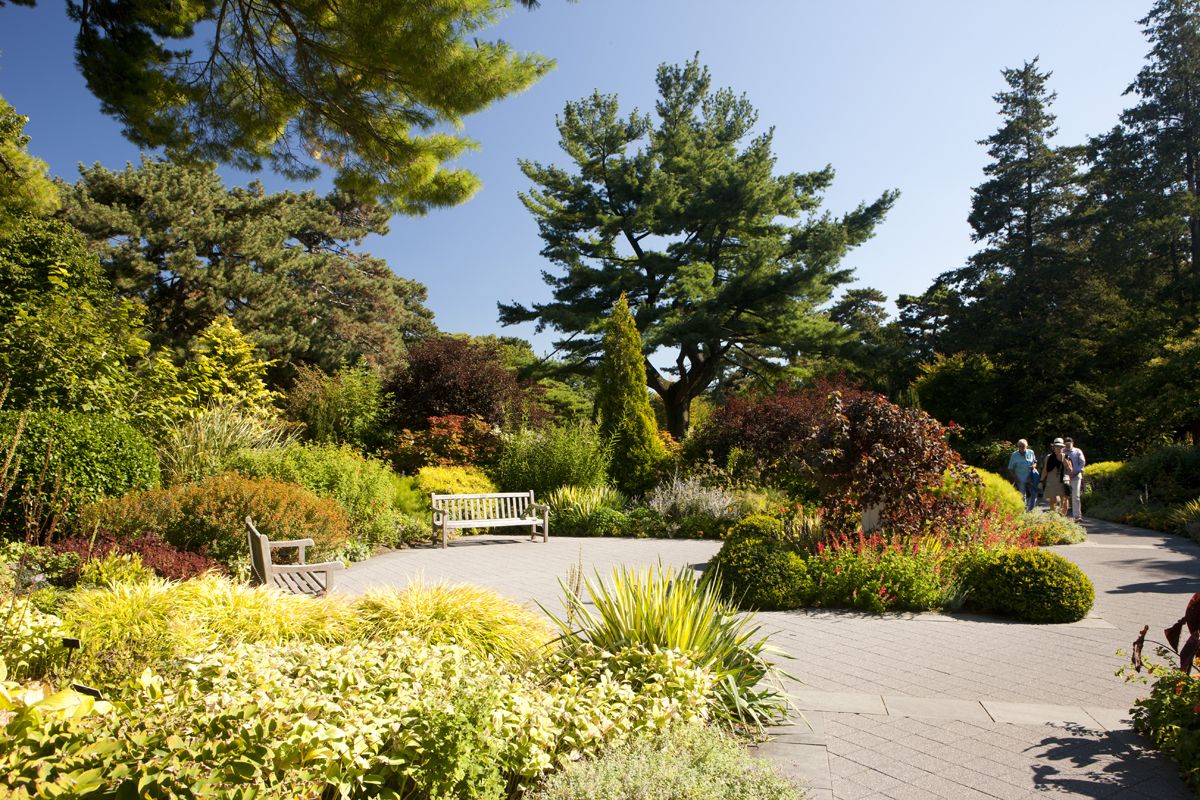 New Yorks Best Fall Events Brooklyn Botanical Garden