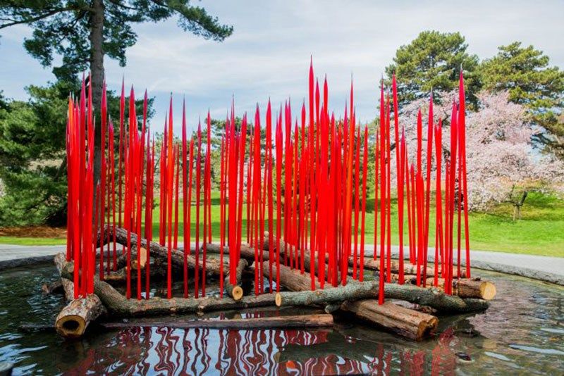 Pin On Chihuly Nybg