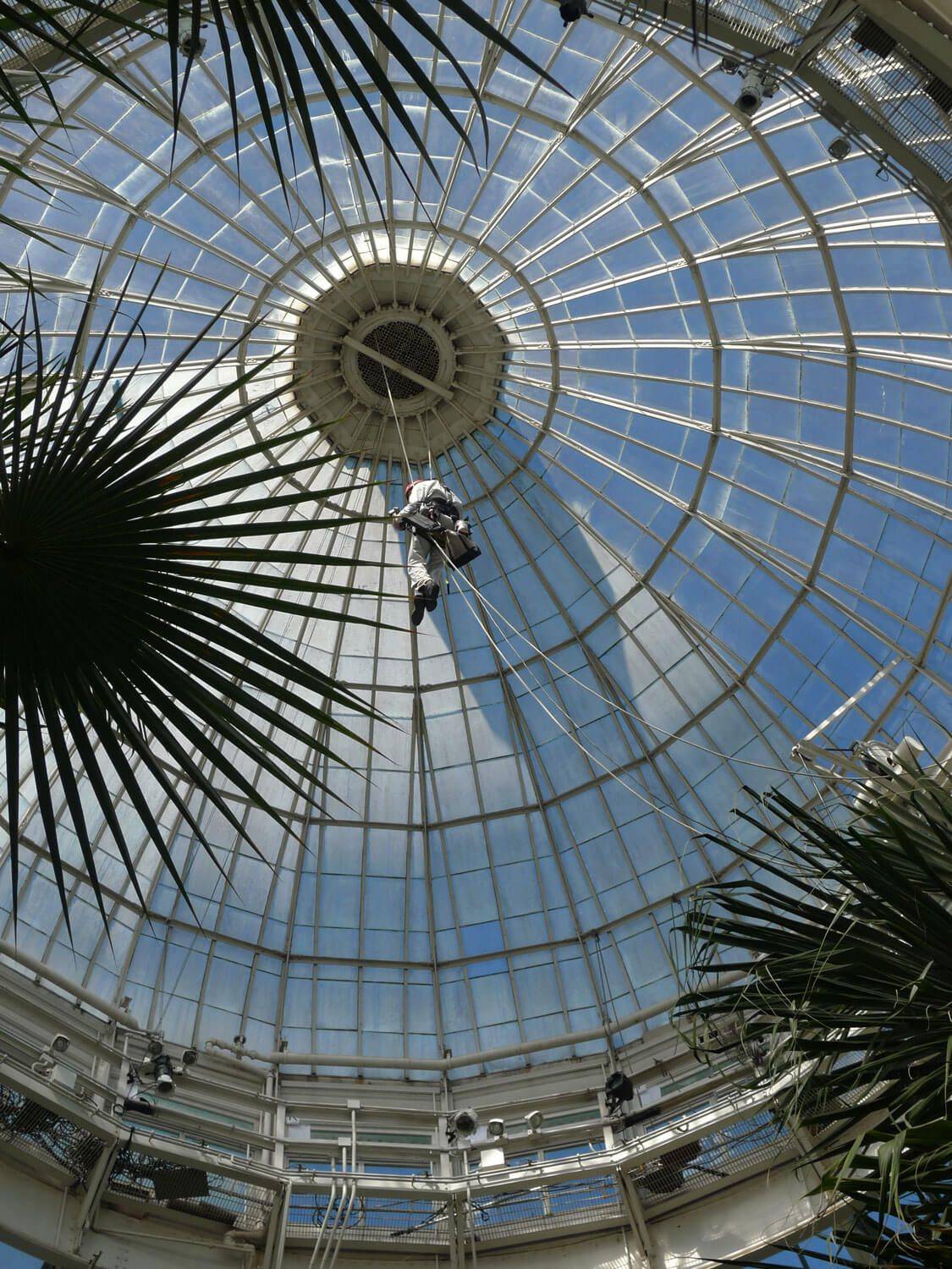 The New York Botanical Garden