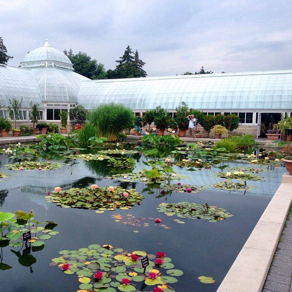 New York Botanical Gardens