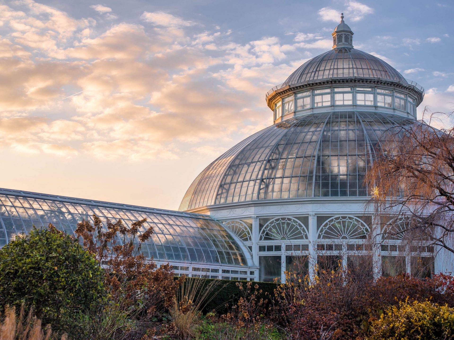 New York Botanical Garden