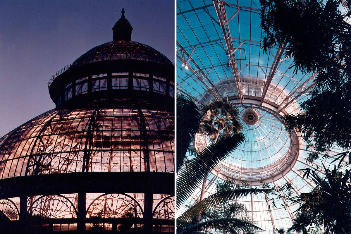 Haupt Conservatory Foto De New York Botanical Garden